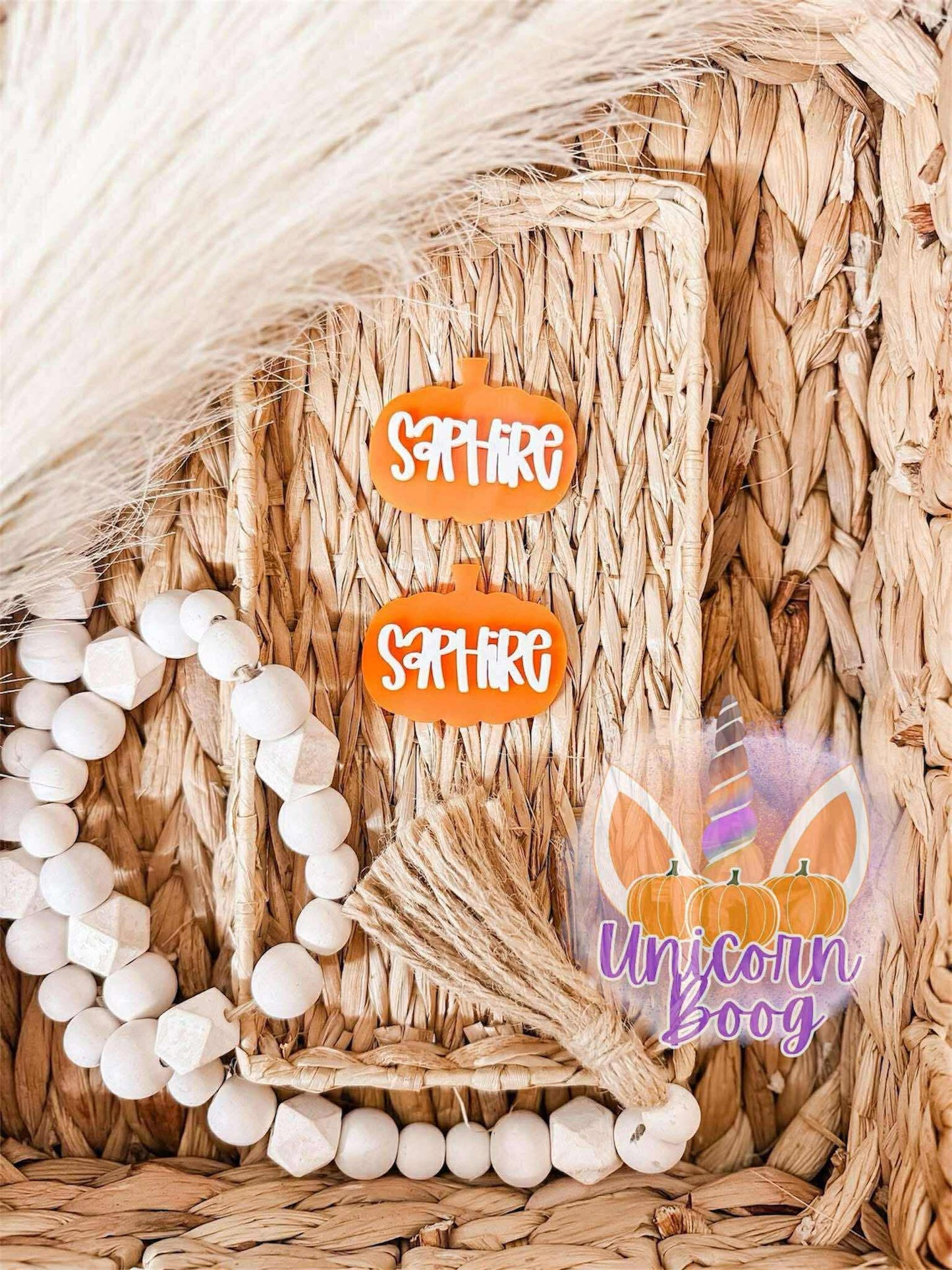 Acrylic Pumpkin Clips